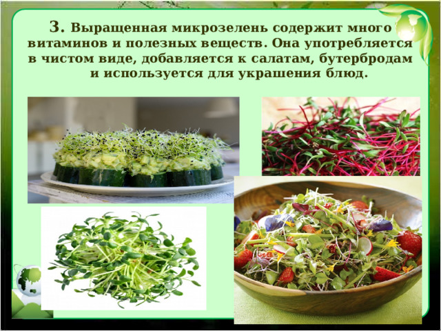 3.  Выращенная микрозелень содержит много витаминов и полезных веществ. Она употребляется в чистом виде, добавляется к салатам, бутербродам и используется для украшения блюд. 