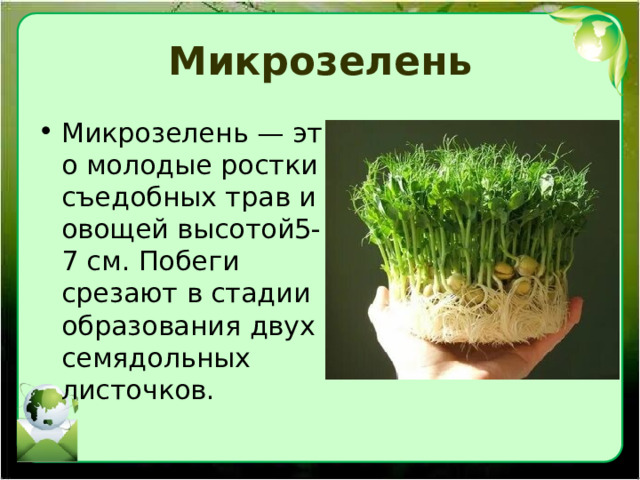 Микрозелень Микрозелень — это молодые ростки съедобных трав и овощей высотой5-7 см. Побеги срезают в стадии образования двух семядольных листочков.  