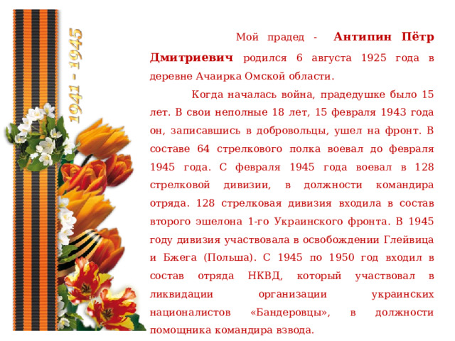  Мой прадед - Антипин Пётр Дмитриевич родился 6 августа 1925 года в деревне Ачаирка Омской области.  Когда началась война, прадедушке было 15 лет. В свои неполные 18 лет, 15 февраля 1943 года он, записавшись в добровольцы, ушел на фронт. В составе 64 стрелкового полка воевал до февраля 1945 года. С февраля 1945 года воевал в 128 стрелковой дивизии, в должности командира отряда. 128 стрелковая дивизия входила в состав второго эшелона 1-го Украинского фронта. В 1945 году дивизия участвовала в освобождении Глейвица и Бжега (Польша). С 1945 по 1950 год входил в состав отряда НКВД, который участвовал в ликвидации организации украинских националистов «Бандеровцы», в должности помощника командира взвода.  Во время войны получил ранения в ногу, сквозное в живот и осколочное ранение в голову, с этим осколком прожил всю жизнь. 