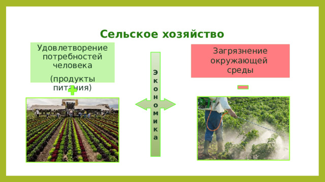 Сельское хозяйство Удовлетворение потребностей человека (продукты питания) Загрязнение окружающей среды Экономика 