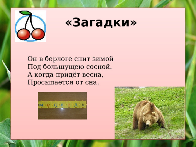 «Загадки»  Он в берлоге спит зимой Под большущею сосной. А когда придёт весна, Просыпается от сна. 