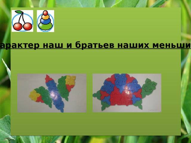 Характер наш и братьев наших меньших» 