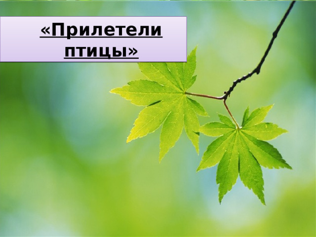«Прилетели птицы» 