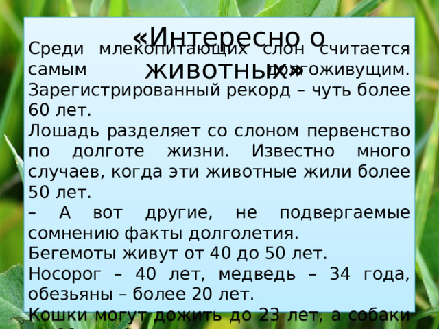 « Интересно о животных »  Среди млекопитающих слон считается самым долгоживущим. Зарегистрированный рекорд – чуть более 60 лет. Лошадь разделяет со слоном первенство по долготе жизни. Известно много случаев, когда эти животные жили более 50 лет. – А вот другие, не подвергаемые сомнению факты долголетия. Бегемоты живут от 40 до 50 лет. Носорог – 40 лет, медведь – 34 года, обезьяны – более 20 лет. Кошки могут дожить до 23 лет, а собаки до 22. 