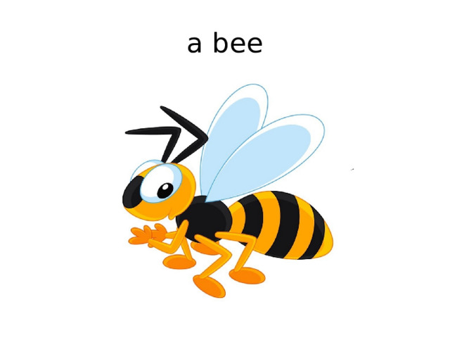 a bee 