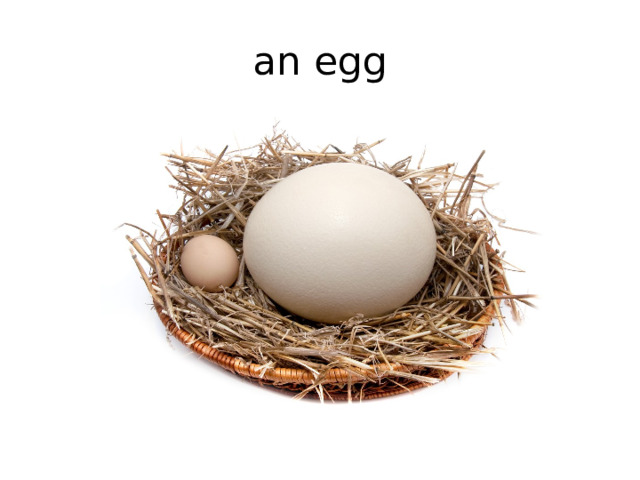an egg 