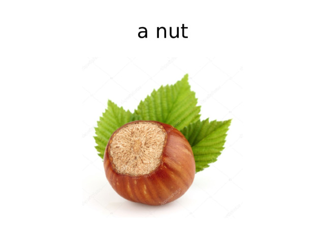 a nut 