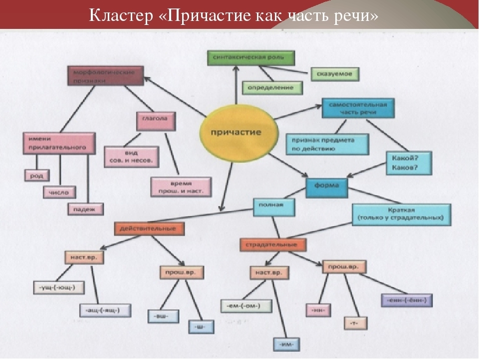 Ментальная карта по глаголу