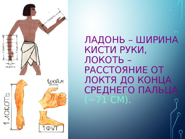 ЛАДОНЬ – ширина кисти руки, ЛОКОТЬ – расстояние от локтя до конца среднего пальца (~71 см).   