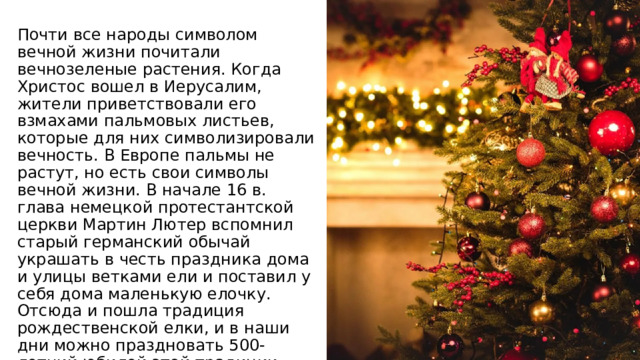 Почти все народы символом вечной жизни почитали вечнозеленые растения. Когда Христос вошел в Иерусалим, жители приветствовали его взмахами пальмовых листьев, которые для них символизировали вечность. В Европе пальмы не растут, но есть свои символы вечной жизни. В начале 16 в. глава немецкой протестантской церкви Мартин Лютер вспомнил старый германский обычай украшать в честь праздника дома и улицы ветками ели и поставил у себя дома маленькую елочку. Отсюда и пошла традиция рождественской елки, и в наши дни можно праздновать 500-летний юбилей этой традиции. 
