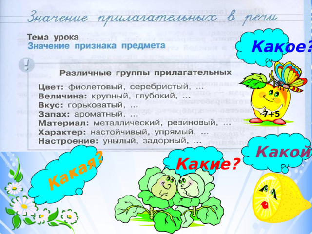 Какая? Какое? 7+5 Какой? Какие? 