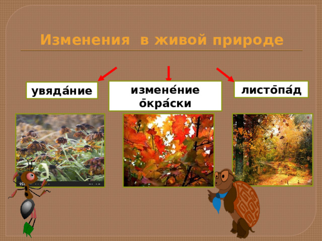 Изменения в живой природе измене ́ ние о ̄ кра ́ ски листо ̄ па ́ д увяда ́ ние 