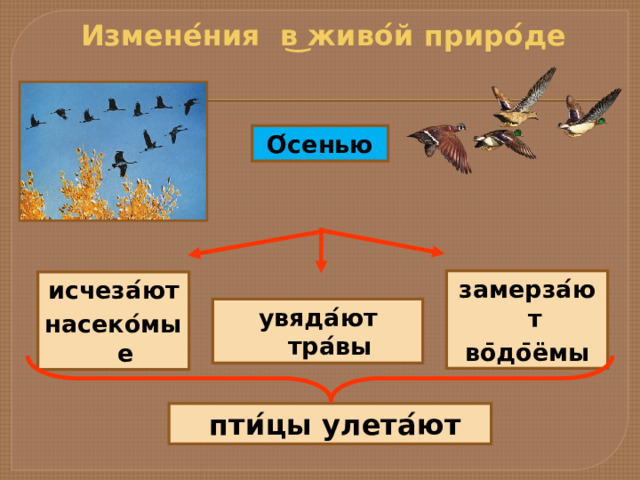 Измене ́ ния в ͜ живо ́ й приро ́ де О ́ сенью замерза ́ ют во ̄ до ̄ ёмы исчеза ́ ют насеко ́ мые увяда ́ ют тра ́ вы  пти ́ цы улета ́ ют 