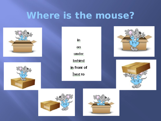 Where is the mouse? 