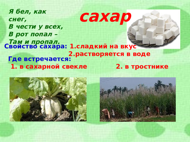 Разнообразие веществ в природе. Разнообразие веществ. Презентация на тему разнообразие веществ. Презентация на тему сахар. Разнообразие веществ 3 класс окружающий мир.