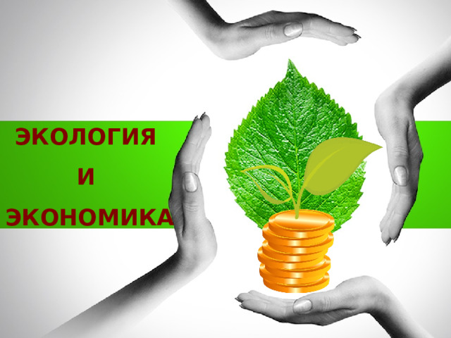 ЭКОЛОГИЯ  И  ЭКОНОМИКА 1 