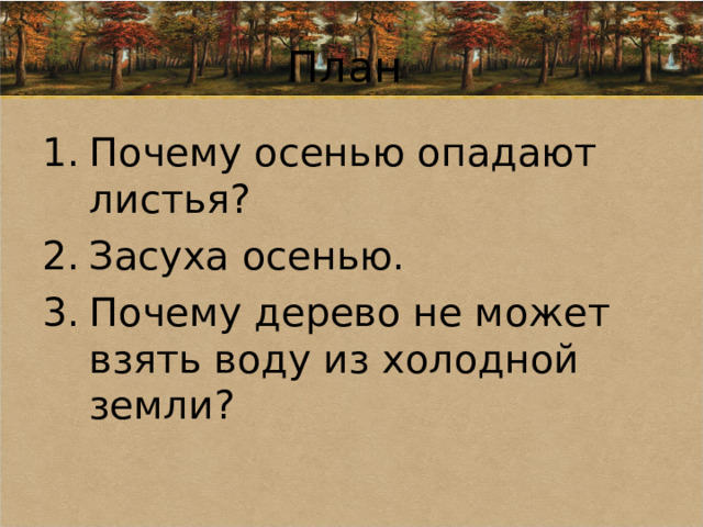 План Почему осенью опадают листья? Засуха осенью. Почему дерево не может взять воду из холодной земли? 
