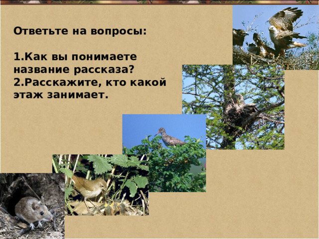 Ответьте на вопросы:  Как вы понимаете название рассказа? Расскажите, кто какой этаж занимает.  