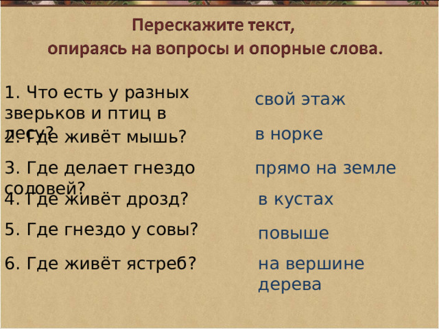 1. Что есть у разных зверьков и птиц в лесу? свой этаж в норке 2. Где живёт мышь? 3. Где делает гнездо соловей? прямо на земле 4. Где живёт дрозд? в кустах 5. Где гнездо у совы? повыше 6. Где живёт ястреб? на вершине дерева 