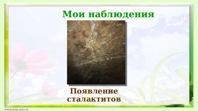 Мои наблюдения Появление сталактитов 