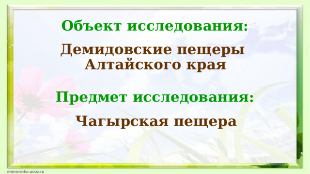 Объект исследования: Демидовские пещеры Алтайского края Предмет исследования: Чагырская пещера 