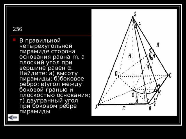256 В правильной четырехугольной пирамиде сторона основания равна m , а плоский угол при вершине равен α . Найдите: а) высоту пирамиды; б)боковое ребро; в)угол между боковой гранью и плоскостью основания; г) двугранный угол при боковом ребре пирамиды 