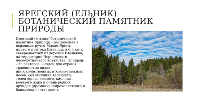 Ярегский (ельник) ботанический памятник природы Ярегский (ельник) ботанический памятник природы - расположен в верховьях ручья Малая Ярега, правого притока Вычегды, в 6,5 км к северо-востоку от деревни Ивановка, на территории Чернамского лесоохотничьего хозяйства. Площадь - 25 гектаров. Создан для охраны травянистых видов широколиственных и южно-таежных лесов: сочевичника весеннего, телептериса лесного, кислицы, волчьего лыка и очень редких орхидей (дремлика широколистного и башмачка настоящего).    