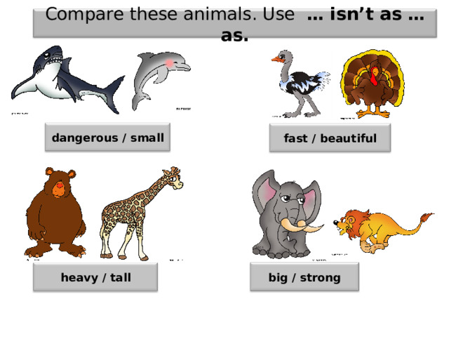 Compare these animals. Use … isn’t as …as. dangerous / small fast / beautiful big / strong heavy / tall 