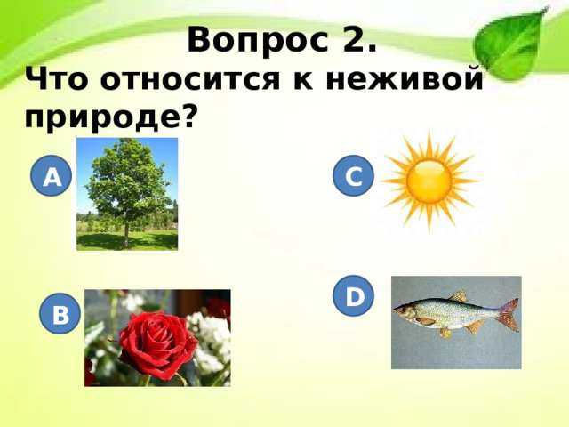 Вопрос 2. Что относится к неживой природе?       A C D B 