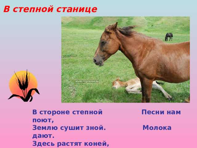 В степной станице В стороне степной Песни нам поют, Землю сушит зной. Молока дают. Здесь растят коней, Как растят детей:  