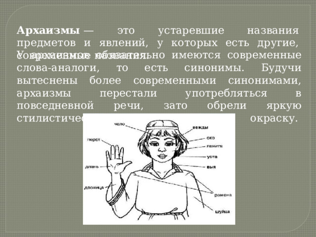 Человек с архаичными взглядами 6 букв сканворд. Архаизмы части тела человека. Устаревшие названия частей тела. Архаизмы. Устаревшие названия вещей.