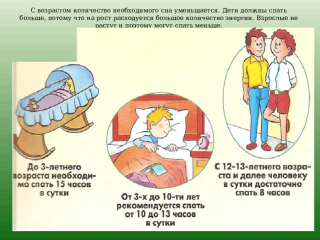 С возрастом количество необходимого сна уменьшается. Дети должны спать больше, потому что на рост расходуется большое количество энергии. Взрослые не растут и поэтому могут спать меньше. 