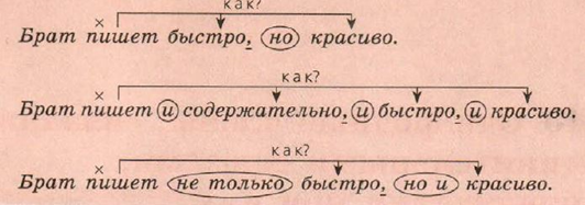 Пишущие братья. Однородные члены предложения. Брат пишет содержательно и быстро и красиво. Правила пунктуации при однородных членах. Однородные члены предложения для начального класса.