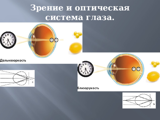 Зрение и оптическая система глаза. 