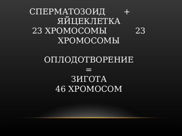 СПЕРМАТОЗОИД + ЯЙЦЕКЛЕТКА  23 ХРОМОСОМЫ 23 ХРОМОСОМЫ   ОПЛОДОТВОРЕНИЕ  =  ЗИГОТА  46 ХРОМОСОМ   