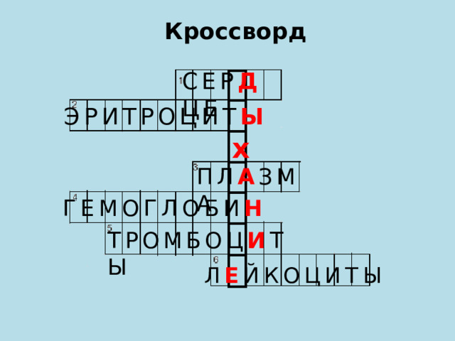 Кроссворд СЕР Д ЦЕ ЭРИТРОЦИТ Ы х ПЛ А ЗМА ГЕМОГЛОБИ Н ТРОМБОЦ И ТЫ Л Е ЙКОЦИТЫ 