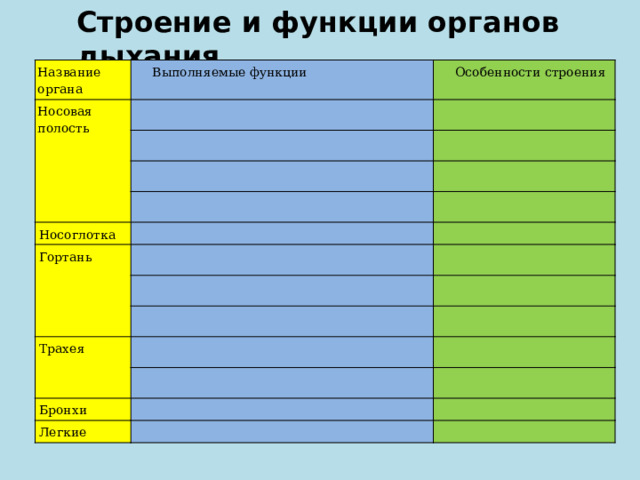 Строение и функции органов дыхания Название органа Выполняемые функции Носовая полость Особенности строения Носоглотка Гортань Трахея Бронхи Легкие 