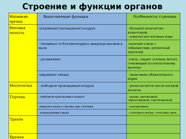 Строение и функции органов дыхания Название органа Выполняемые функции Носовая полость Особенности строения -согревание (охлаждение) воздуха - большое количество капилляров, - очищение от болезнетворных микроорганизмов и пыли - извилистые носовые ходы -наличие слизи с лейкоцитами; ресничный эпителий - увлажнение -слизь, секрет слезных желез, стекающий по носослезному протоку -ощущение запаха Носоглотка Гортань - окончания обонятельного нерва - свободное прохождение воздуха - располагается после носовой полости - свободное прохождение воздуха - хрящи: щитовидный, черпаловидный, перстневидный -закрытие входа в гортань при глотании - надгортанник - возникновение звука Трахея - голосовые связки, голосовая щель Бронхи Легкие 