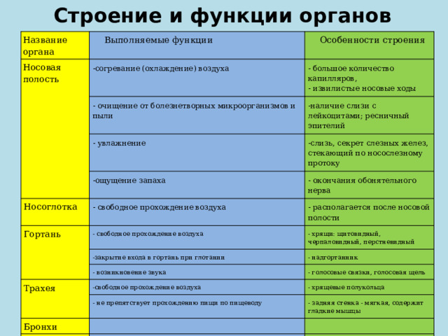 Строение и функции органов дыхания Название органа Выполняемые функции Носовая полость Особенности строения -согревание (охлаждение) воздуха - большое количество капилляров, - очищение от болезнетворных микроорганизмов и пыли - извилистые носовые ходы -наличие слизи с лейкоцитами; ресничный эпителий - увлажнение -слизь, секрет слезных желез, стекающий по носослезному протоку -ощущение запаха Носоглотка Гортань - свободное прохождение воздуха - окончания обонятельного нерва - располагается после носовой полости - свободное прохождение воздуха - хрящи: щитовидный, черпаловидный, перстневидный -закрытие входа в гортань при глотании - надгортанник - возникновение звука Трахея - голосовые связки, голосовая щель -свободное прохождение воздуха - хрящевые полукольца - не препятствует прохождению пищи по пищеводу Бронхи - задняя стенка - мягкая, содержит гладкие мышцы Легкие 