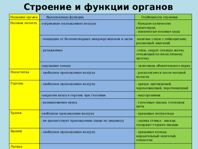 Строение и функции органов дыхания Название органа Выполняемые функции Носовая полость Особенности строения -согревание (охлаждение) воздуха - большое количество капилляров, - очищение от болезнетворных микроорганизмов и пыли - извилистые носовые ходы -наличие слизи с лейкоцитами; ресничный эпителий - увлажнение -слизь, секрет слезных желез, стекающий по носослезному протоку -ощущение запаха Носоглотка Гортань - окончания обонятельного нерва - свободное прохождение воздуха - располагается после носовой полости - свободное прохождение воздуха - хрящи: щитовидный, черпаловидный, перстневидный -закрытие входа в гортань при глотании - надгортанник - возникновение звука Трахея - голосовые связки, голосовая щель -свободное прохождение воздуха - хрящевые полукольца - не препятствует прохождению пищи по пищеводу Бронхи - задняя стенка - мягкая, содержит гладкие мышцы - свободное прохождение воздуха Легкие - хрящевые кольца, мерцательный эпителий, слизистая 