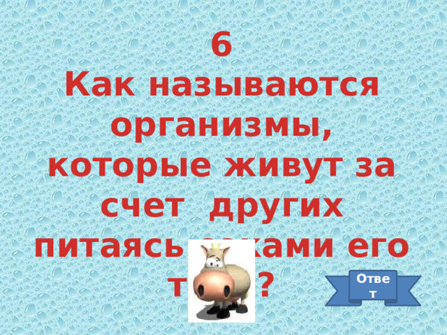 6 Как называются организмы, которые живут за счет других питаясь соками его тела? Ответ 