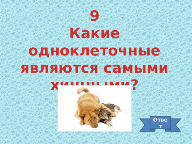 9 Какие одноклеточные являются самыми хищными? Ответ 