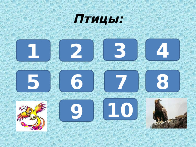 Птицы: 3 4 1 2 6 8 5 7 10 9 