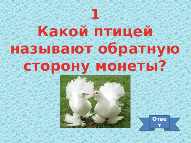 1 Какой птицей называют обратную сторону монеты? Ответ 