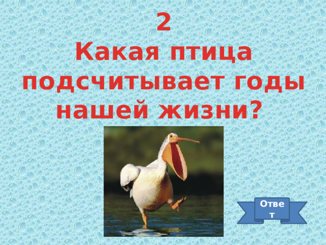 2 Какая птица подсчитывает годы нашей жизни? Ответ 