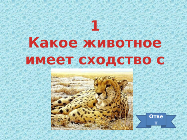 1 Какое животное имеет сходство с цветком? Ответ 