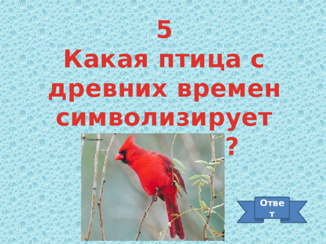 5 Какая птица с древних времен символизирует мудрость? Ответ 