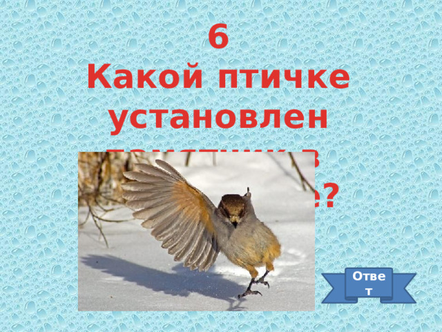 6 Какой птичке установлен памятник в Петербурге? Ответ 