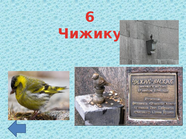 6 Чижику 