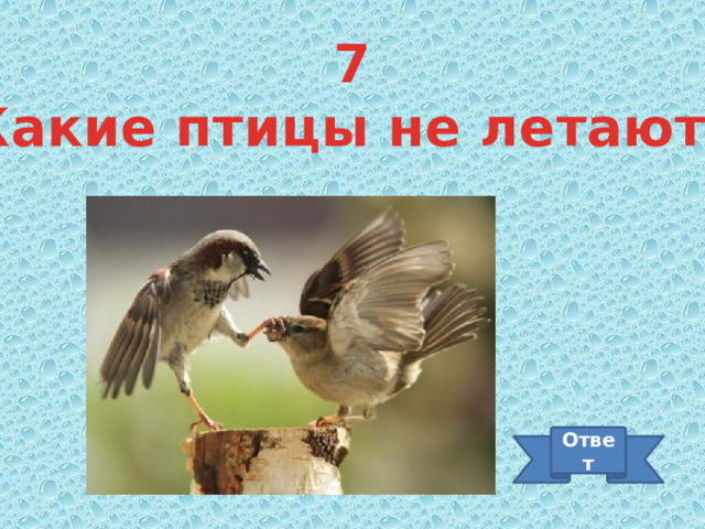 7 Какие птицы не летают? Ответ 